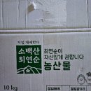 최연순 님 절임배추와 알타리입니다. 이미지