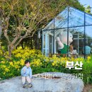 임랑월 이미지