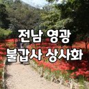 이조한우식당 네이버블로그