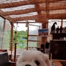 시골별장식당 이미지