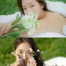 올소유