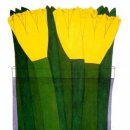 제주펜션 모이헤이 이미지