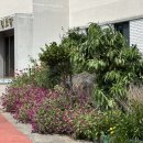 고내리경로당 이미지