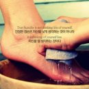로하ROHA