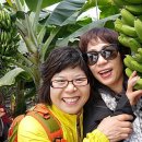 유진농장(2) 이미지