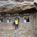 갤럭시베이 | 하와이 스노클링 투어 | 거북이 vs 하나우마베이 후기