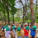 숲 놀이-텃밭에 씨앗심기🌱 이미지