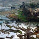 별이 빛나는 밤에 이미지