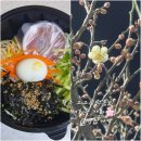 원주종합운동장 | 원주 매화꽃 개화🌸 고고싱 떡볶이 쫄면🍜 원주종합운동장 러닝 🏃‍♂️
