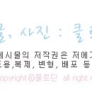 덕이쇼핑 네이버블로그