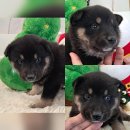 봉곡동251 이미지