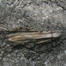 부여(백제)-02 이미지