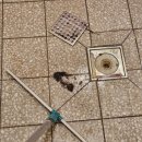 바다나무잉글리시어학원