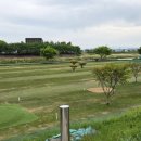 병성천 파크골프장(1) 네이버블로그