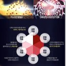 동반자케어 이미지