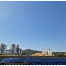 부동산아침공인중개사사무소 이미지