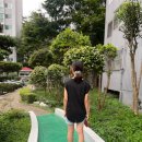 스타켓 이미지