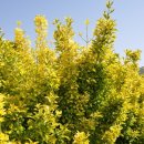 사철농장 이미지