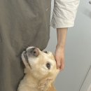 몽블리스 이미지