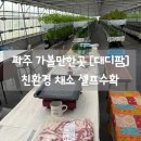 파주 가볼만한곳 대디팜 재방문 후기 친환경 채소 수확 체험 후 삼겹살 파티