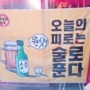 맨날술이야 이미지