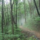 백운계곡둘레길 이미지