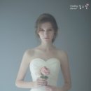 보나투어 이미지