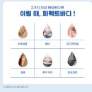 수족냉증, 안구건조증에 좋은 음료 :: 씨에스티 퍼펙트바디