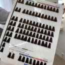 UR(파주시)-[와석순환로]-하-19 | [운정 미용실] 퍼스널 컬러 진단과 맞춤 컬러로 염색까지 가능한 “플로이 헤어”