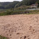 연수동사무소 이미지