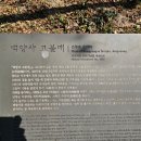 백양로 R 이미지