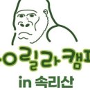 고릴라캠핑 in 속리산 이미지