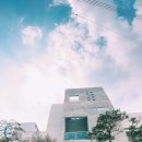 항사리91 이미지