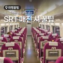 에스알티주 이미지