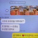 넘버원 펫살롱 이미지