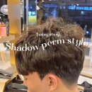 쉐도우비전 이미지