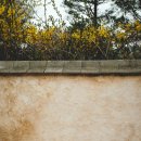 스테이아르크 이미지