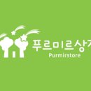푸르미르상점