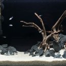 바브네이쳐 이미지