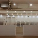 안녕, 펫 이미지