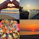 대천농협해수욕장지점 | 대천가볼만한곳 추천, 대천해수욕장 스카이바이크 타고 즐기는 서해바다