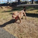 오공농장 이미지