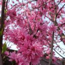 우포2로 이미지