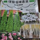 원종한일 Daum카페