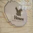 어니스트 동물병원 네이버블로그
