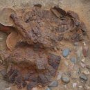 신라부분정비 이미지