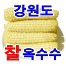 정선농산 이미지