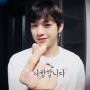 팔도강산 이미지