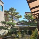 사림로137번길 이미지