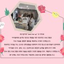 높빛도서관 나눔터 이미지